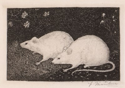 Lot 173 - Jan Mankes (1889-1920) - 2 Muizen in het Gras 1916 (Ets)