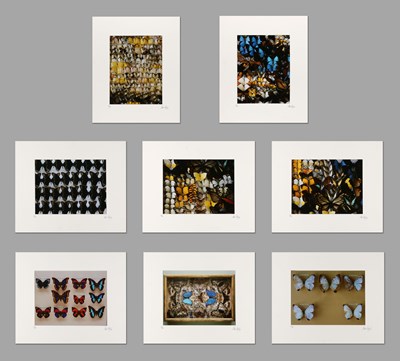 Lot 138 - Paul HUF (1924-2002) - set van 8 C-Print Foto’s “Butterflies”. 1985