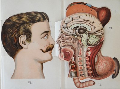 Lot 124 - Friedrich Eduard Bilz - De Nieuwe Natuurgeneeswijze 2 delen Man en Vrouw 1923