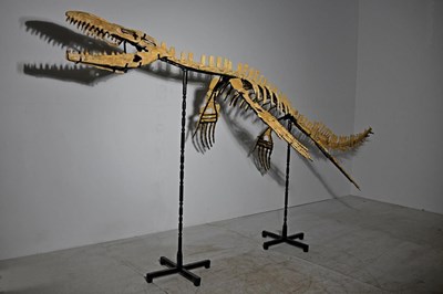 Lot 1 - Mosasaurus Skeleton