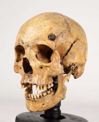 Lot 351 - Menselijke Schedel uit 600-900 na Christus