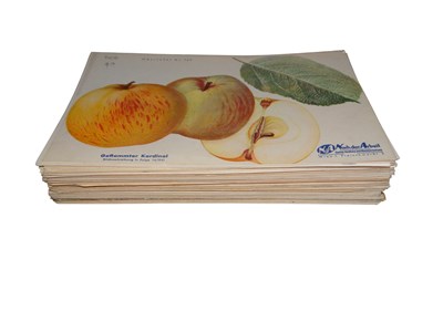 Lot 81 - Lot met 180 gelithrograveerde prenten van Pomologie en andere naturalia onderwerpen.