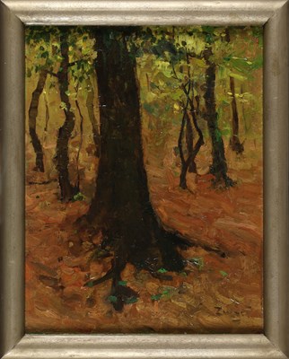Lot 178 - A.J. ZWART (1903-1981) - De Hoge Veluwe
