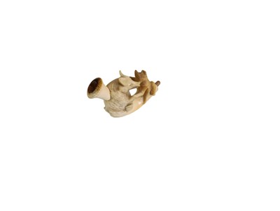 Lot 46 - Meerschuimen tabakspijp met 2 vechtende dieren