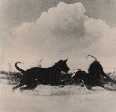 Lot 50 - Gary WOODS (1949) - Two dogs