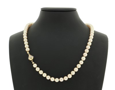 Lot 570 - Pearl necklace with gold clasp