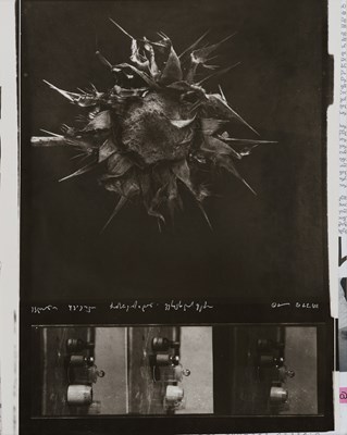Lot 78 - Guram Tsibakhashvili (1960)