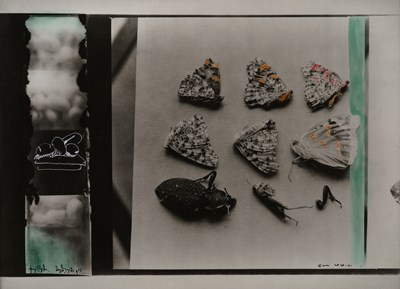 Lot 82 - Guram Tsibakhashvili (1960)