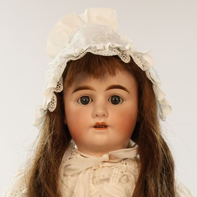 Lot 547 - Arnoldia karakterpop