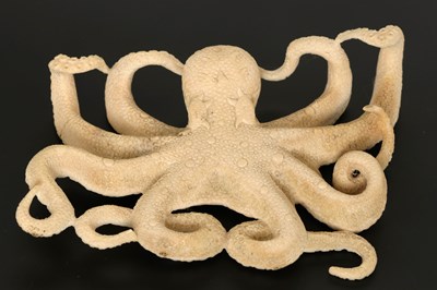 Lot 545 - Hand-Carved Coral Octopus