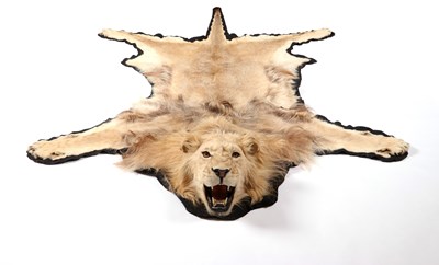 Lot 29 - AFRICAN LION SKIN TAXIDERMY RUG (PANTHERE LEO)