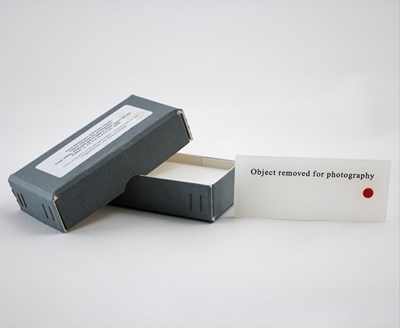 Lot 3 - Anna BLESSMANN (German, b.1969) and Peter SAVILLE (British, b.1955)